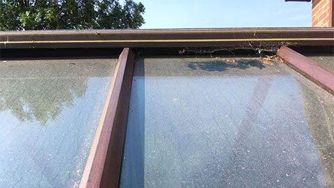 Conservatory roof panels before builders first clean